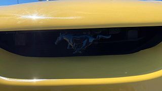 1995 Ford Mustang GT 1FALP42T7SF154539 in Wenatchee, WA 10