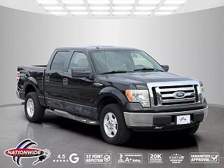 2010 Ford F-150 XLT VIN: 1FTEW1E84AFB80302