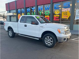 2013 Ford F-150 XLT VIN: 1FTFX1EF1DFD12341