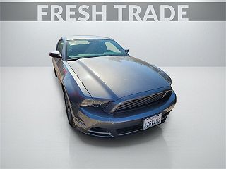 2013 Ford Mustang  VIN: 1ZVBP8AM7D5269574