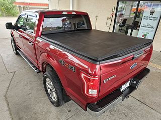 2017 Ford F-150 XLT 1FTEW1EG8HFB80899 in Amelia, OH 30