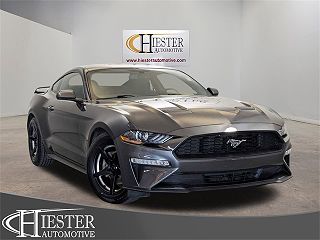 2019 Ford Mustang  VIN: 1FA6P8TH8K5125507
