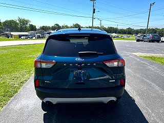 2020 Ford Escape SEL 1FMCU0H65LUA14530 in Hopkinsville, KY 3