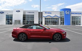 2020 Ford Mustang  VIN: 1FATP8UH9L5108833