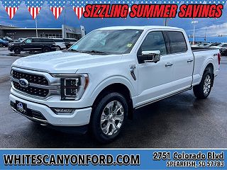 2021 Ford F-150 Platinum VIN: 1FTFW1E83MFA81656