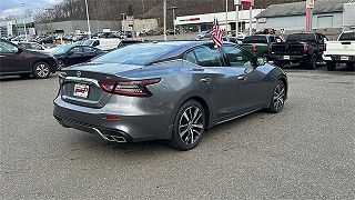 2023 Nissan Maxima SV 1N4AA6CV0PC513775 in Middlebury, CT 3