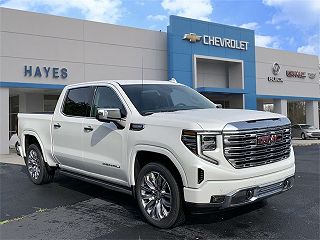 2024 GMC Sierra 1500 Denali VIN: 1GTUUGEL3RZ319659