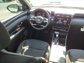 2024 Hyundai Santa Cruz SEL 5NTJB4AE4RH095583 in Melbourne, FL 9