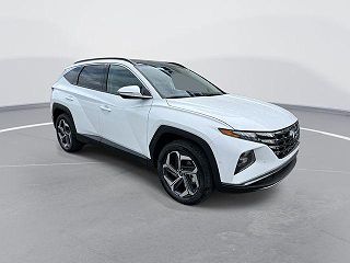 2024 Hyundai Tucson Limited Edition VIN: 5NMJECDE4RH403991